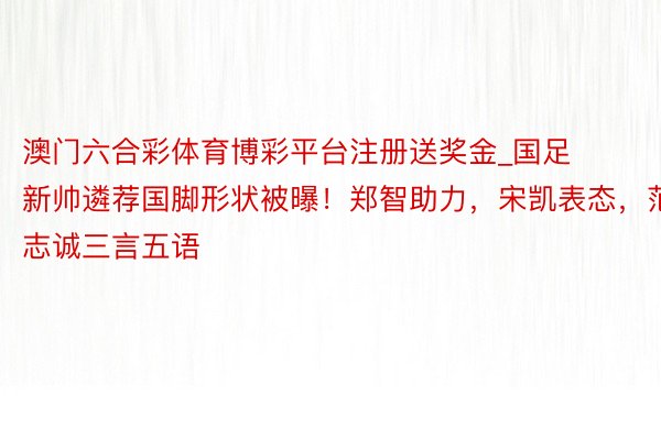 澳门六合彩体育博彩平台注册送奖金_国足新帅遴荐国脚形状被曝！郑智助力，宋凯表态，范志诚三言五语