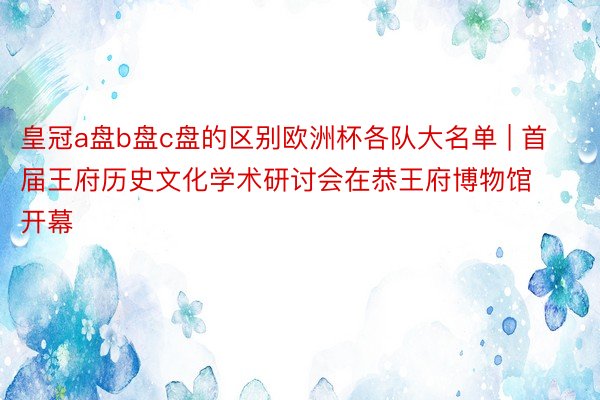 皇冠a盘b盘c盘的区别欧洲杯各队大名单 | 首届王府历史文化学术研讨会在恭王府博物馆开幕