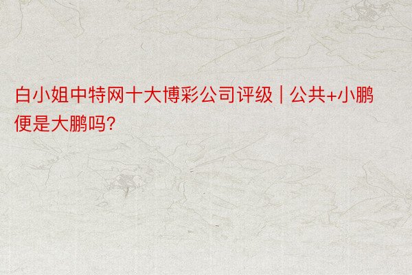 白小姐中特网十大博彩公司评级 | 公共+小鹏便是大鹏吗？