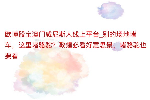 欧博骰宝澳门威尼斯人线上平台_别的场地堵车，这里堵骆驼？敦煌必看好意思景，堵骆驼也要看