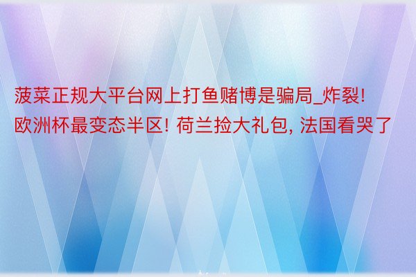 菠菜正规大平台网上打鱼赌博是骗局_炸裂! 欧洲杯最变态半区! 荷兰捡大礼包, 法国看哭了
